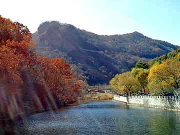 新澳天天开好彩资料大全，10月13日